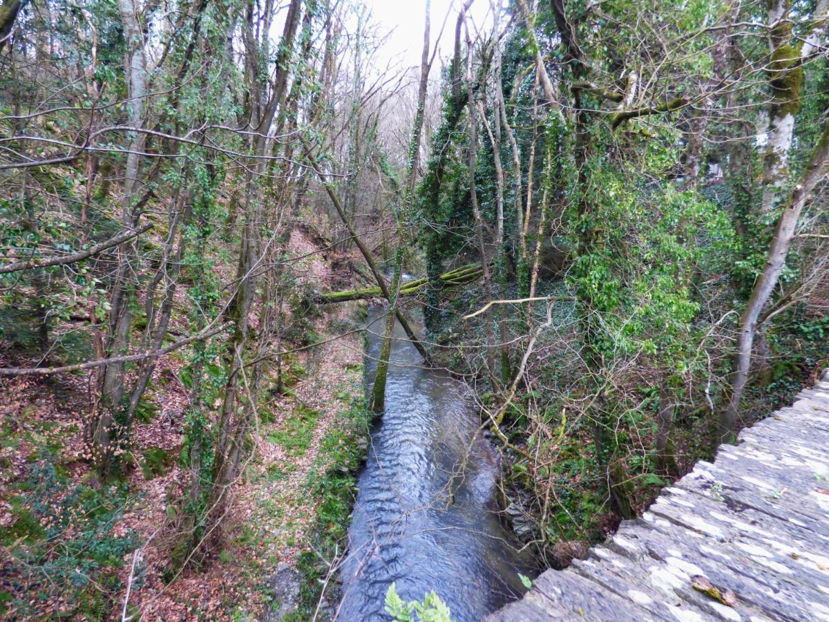 The Mill Cottage Llechryd Exteriör bild